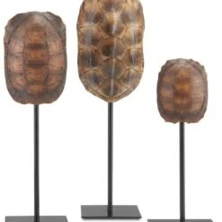 Currey And Company Turtle 13.25" Modern Shells Set Dark Brown, Antique Brown And Black 1200-0433