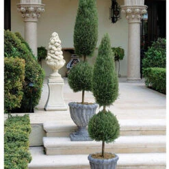 Design Toscano 48In Classic Evergreen Topiary Se6090